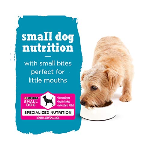 Purina Beneful Small Breed Wet Dog Food Variety Pack, IncrediBites with Real Beef, Chicken or Salmon - Cans