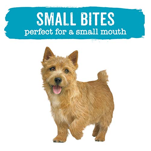 Purina Beneful Small Breed Wet Dog Food Variety Pack, IncrediBites with Real Beef, Chicken or Salmon - Cans