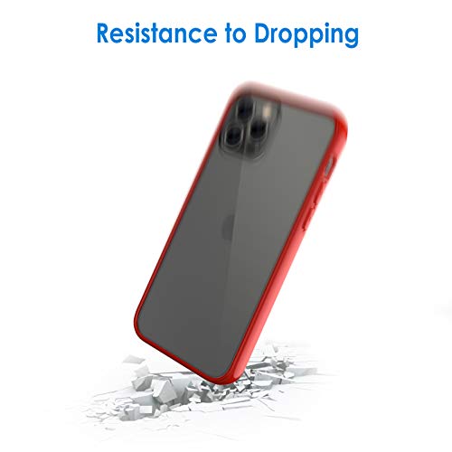 iPhone 12/12 Pro 6.1-Inch, Shockproof Phone Bumper Cover, Anti-Scratch Clear Back (HD Clear)
