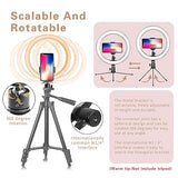 Makeup LED Ring Light 10" with Tripod Stand & Phone Holder