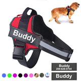 Personalized Dog Harness NO PULL Reflective Breathable Adjustable Pet Harness Vest