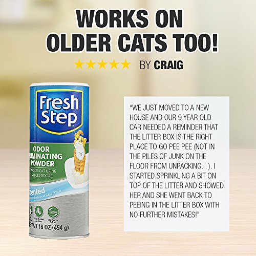 Fresh Step Cat Litter Box Cleaning Spray | Removes Tough Urine Odor